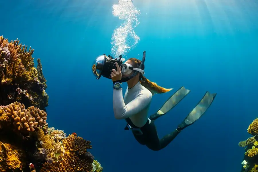 Geko Dive Bali, Bali