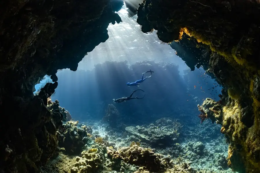 Sport Divers of Houston, Houston