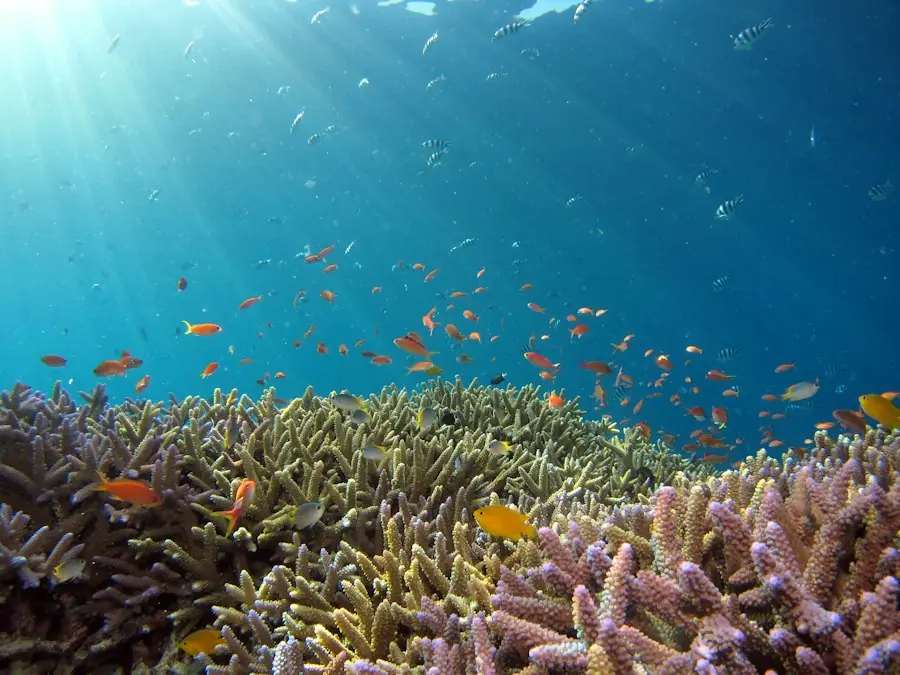 Scuba Go Indonesia, Bali