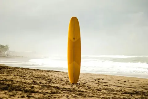 Photo by andydavie on Unsplash