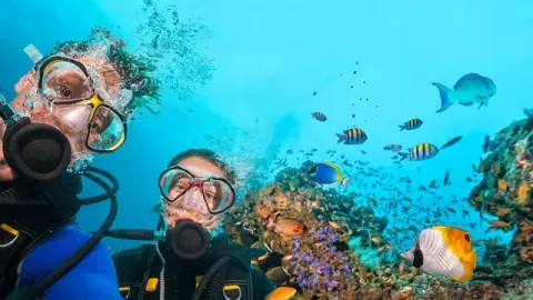 Queensland Scuba Diving Company, Gold Coast