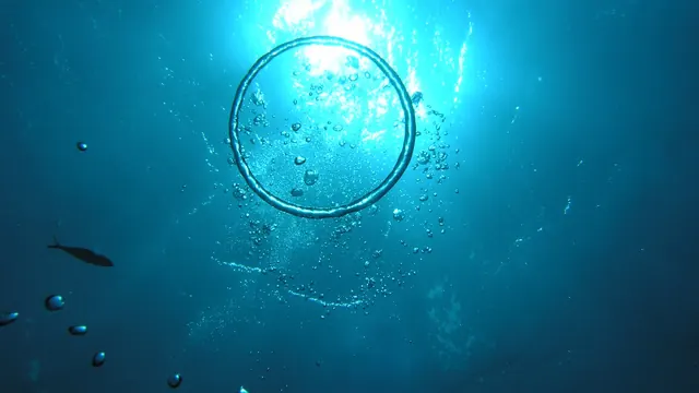 Akdeniz Yunus Diving Center, Antalya