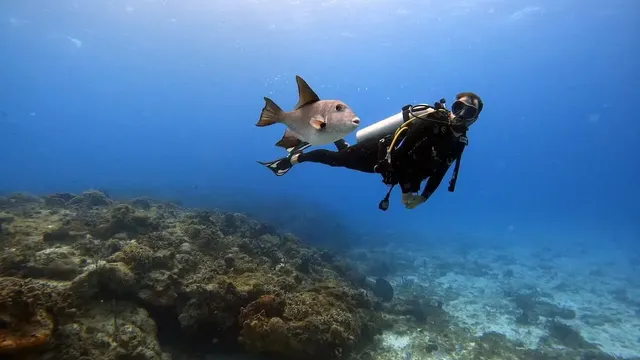 Bali FUN Diving, Bali