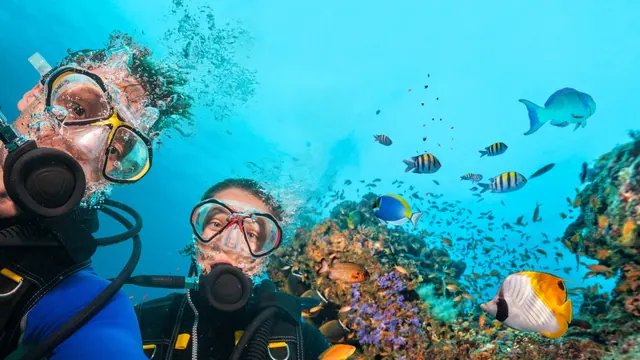 Queensland Scuba Diving Company, Gold Coast